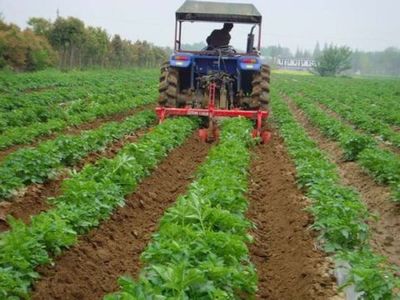 我国如何推进蔬菜农业机械化又好又快生产?